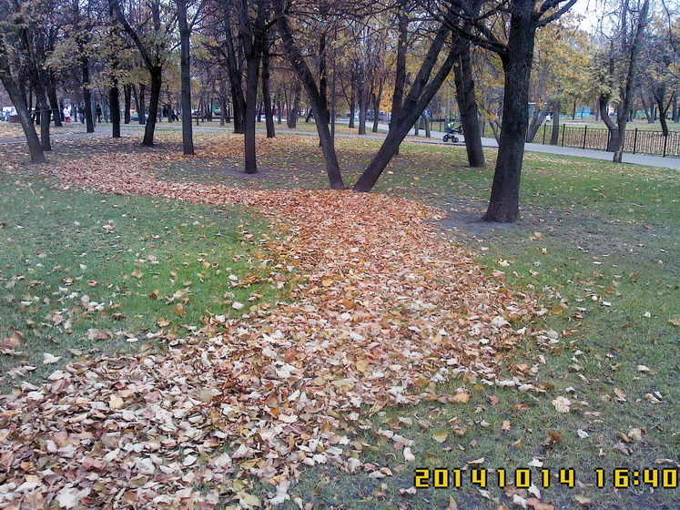 Художественная уборка листвы в Бирюлёво Западном